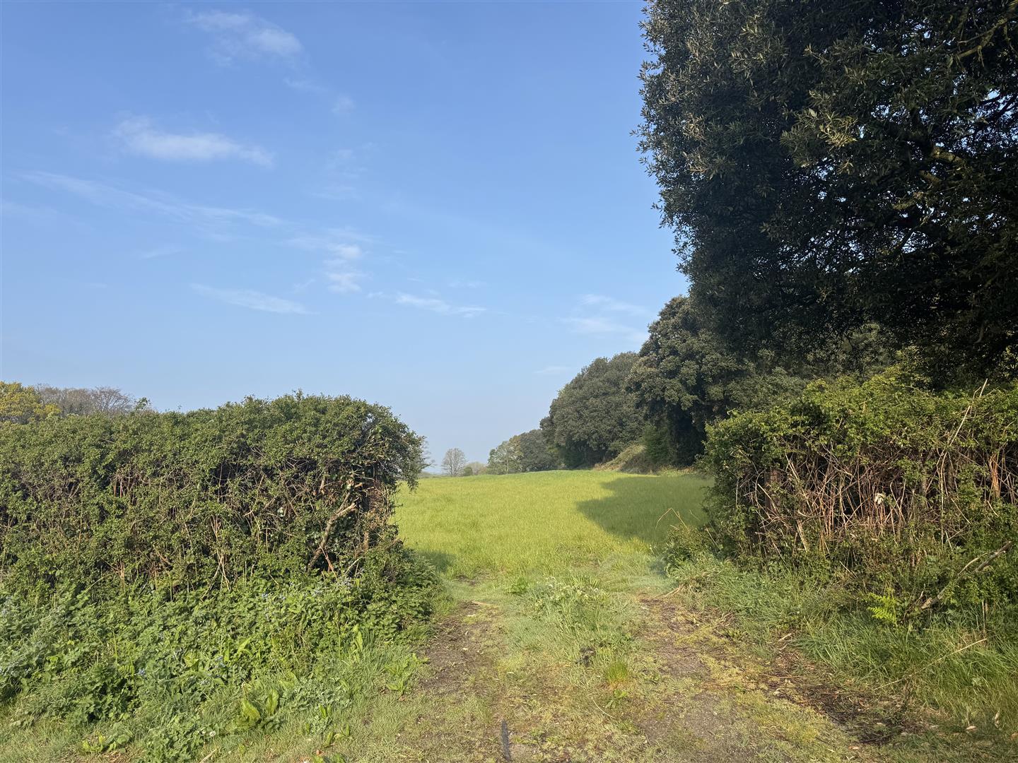 Property Image 3291ea9d-6ebc-4dfa-88b0-7b674303335e