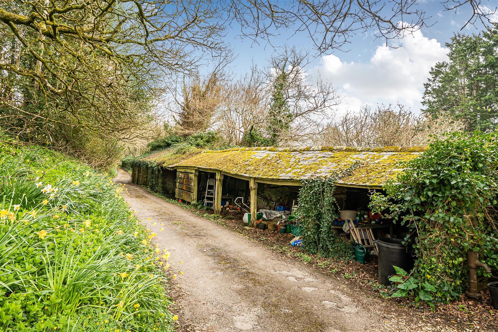 Property Image 329f3be8-d03e-4f2e-85ad-e1d550e025a7