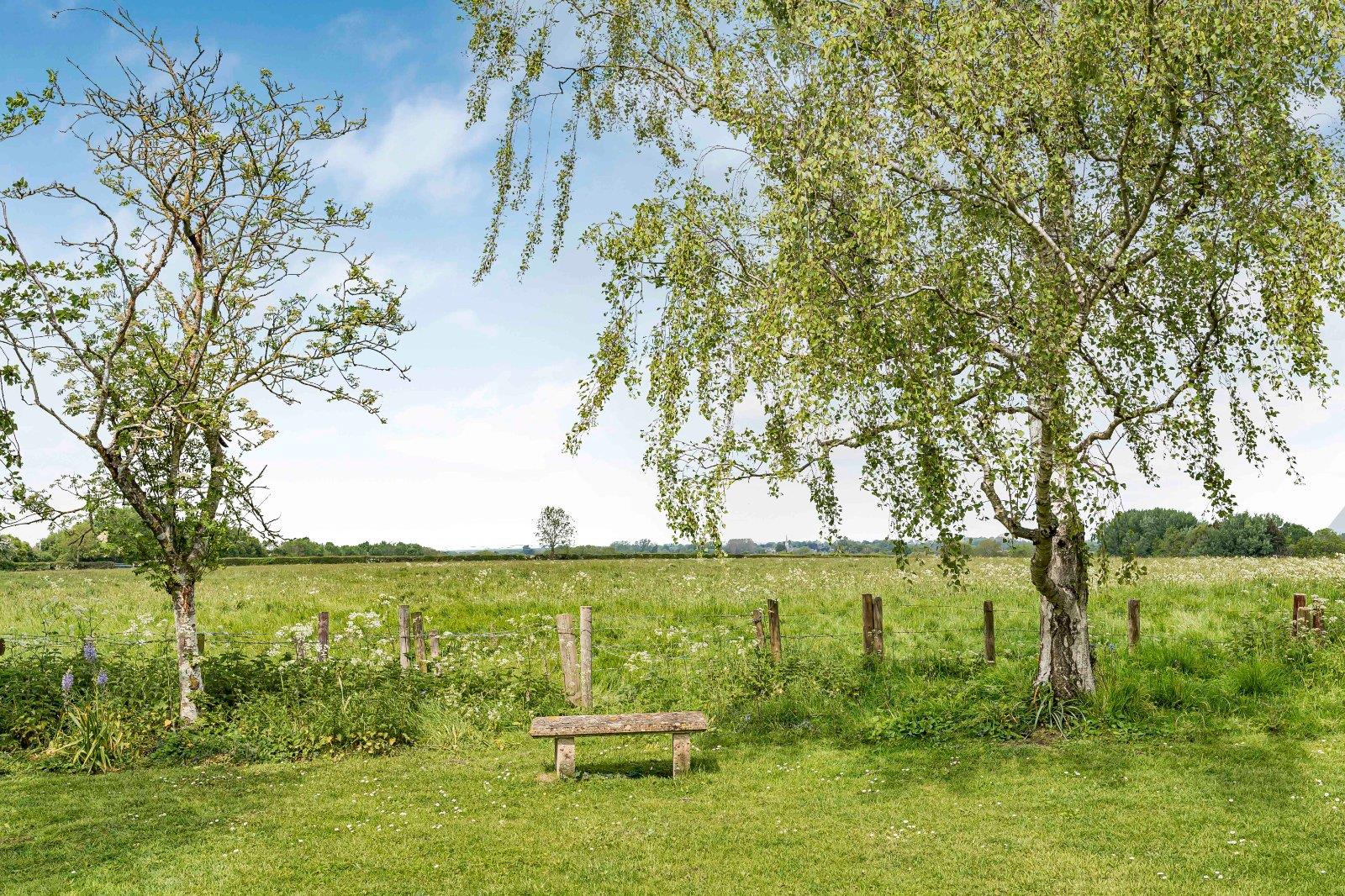 Image 20
