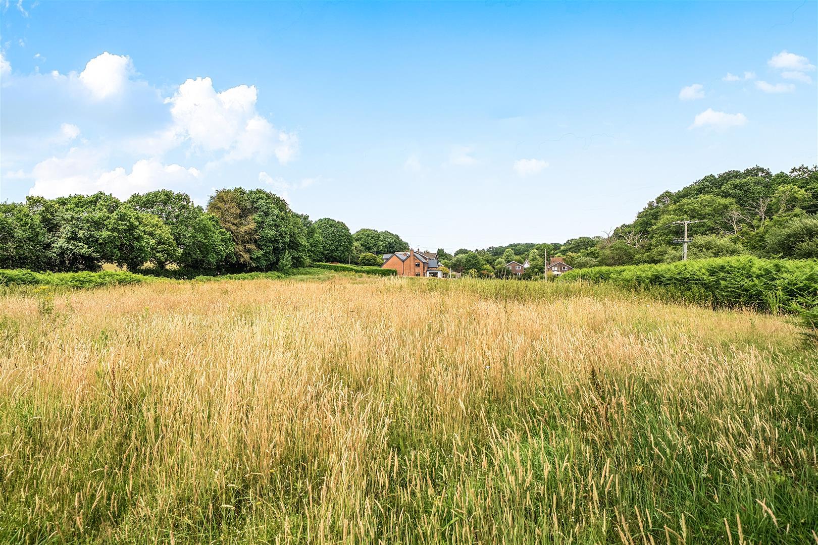 Property Image 32ee5066-4626-4d7f-b1be-24af6e94ebdc
