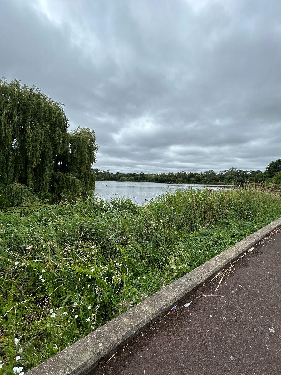 Property Image 32eeeec3-0f71-40e2-8ed2-fa9f58822edd