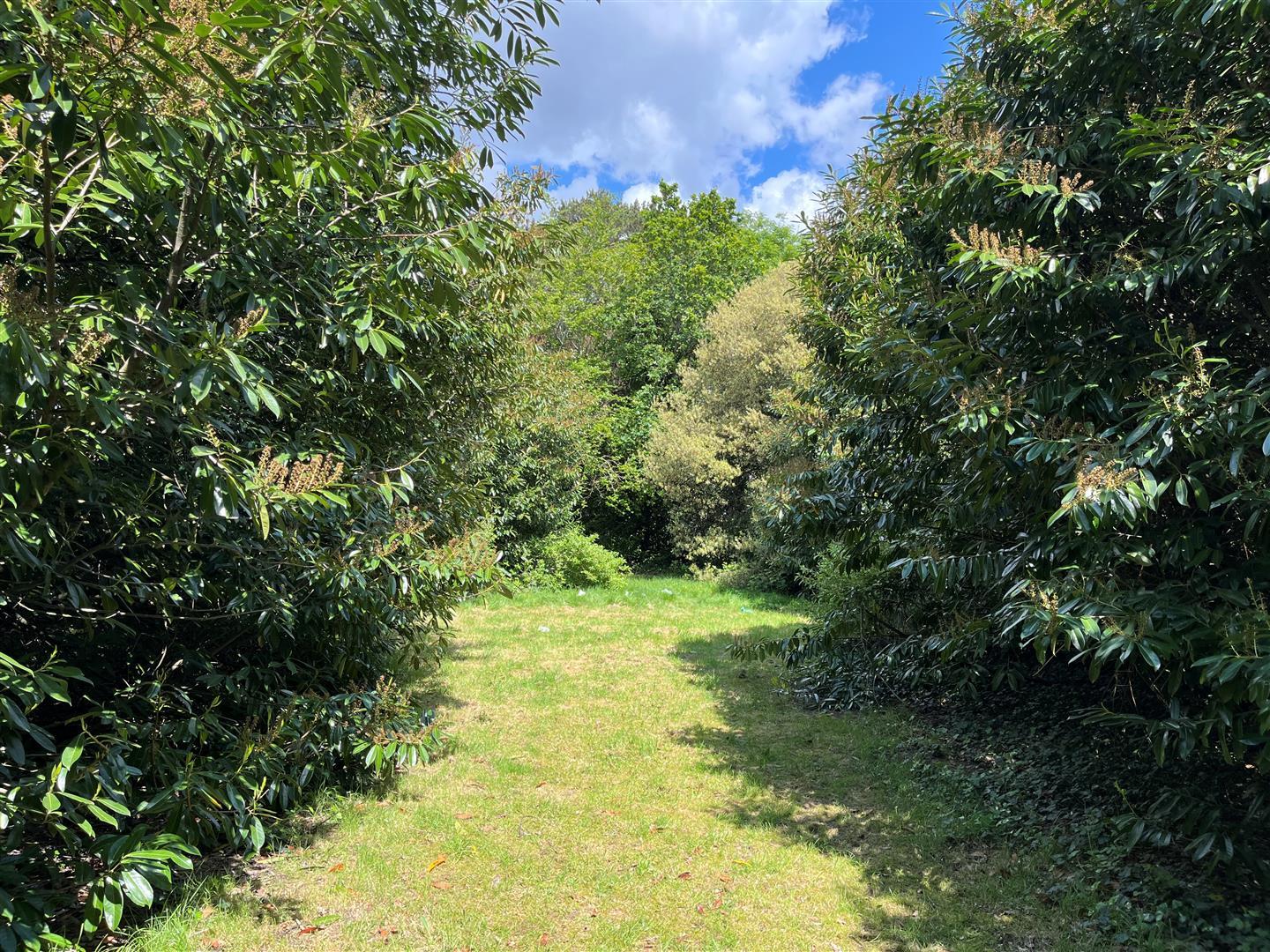 Property Image 330e770e-9fc2-480a-9346-7b35c8146152
