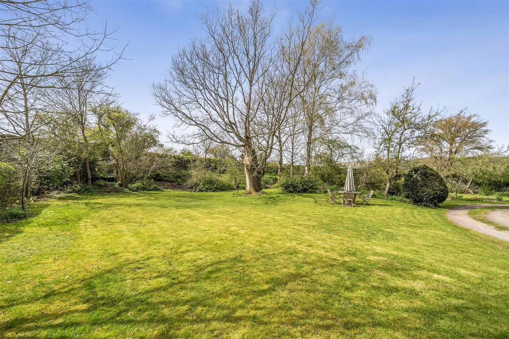 Property Image 330fd06c-220a-4e66-ae0c-25ee77e3ee89