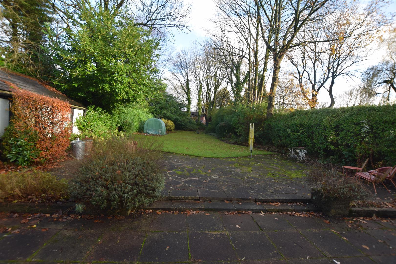 Image 13