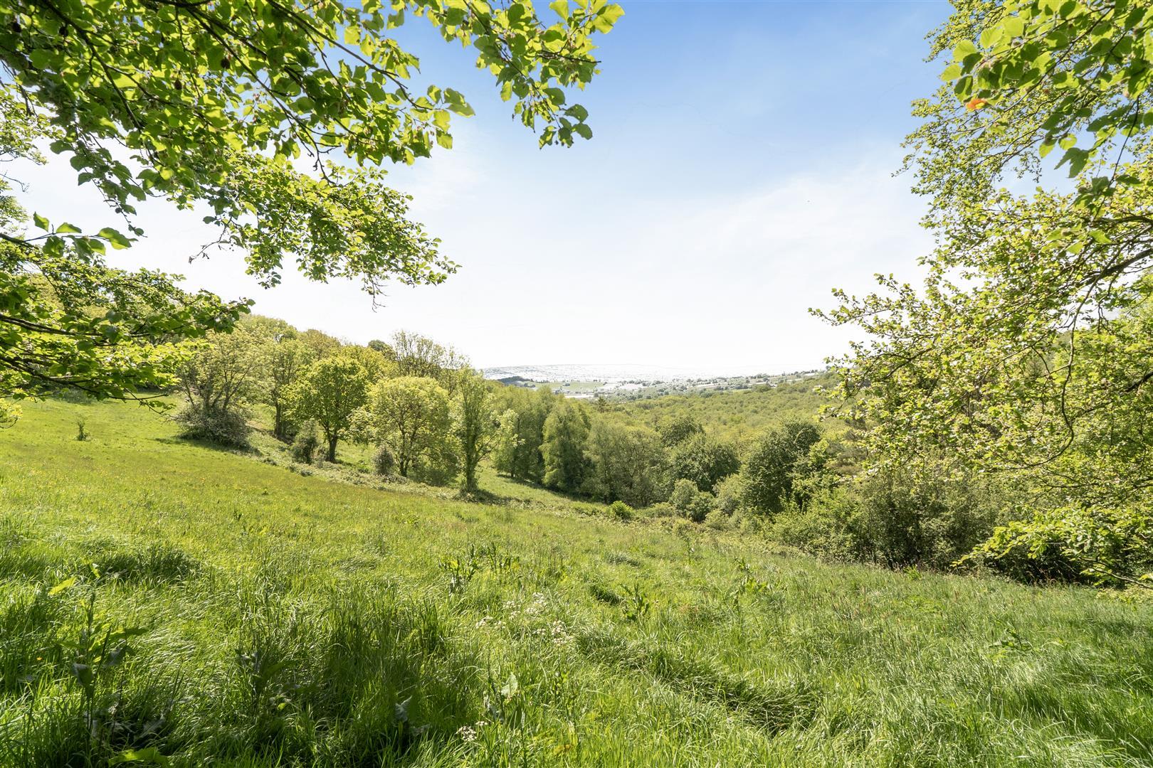 Property Image 3352bc24-f8ab-4fb0-bc06-b8e6a4f508c3