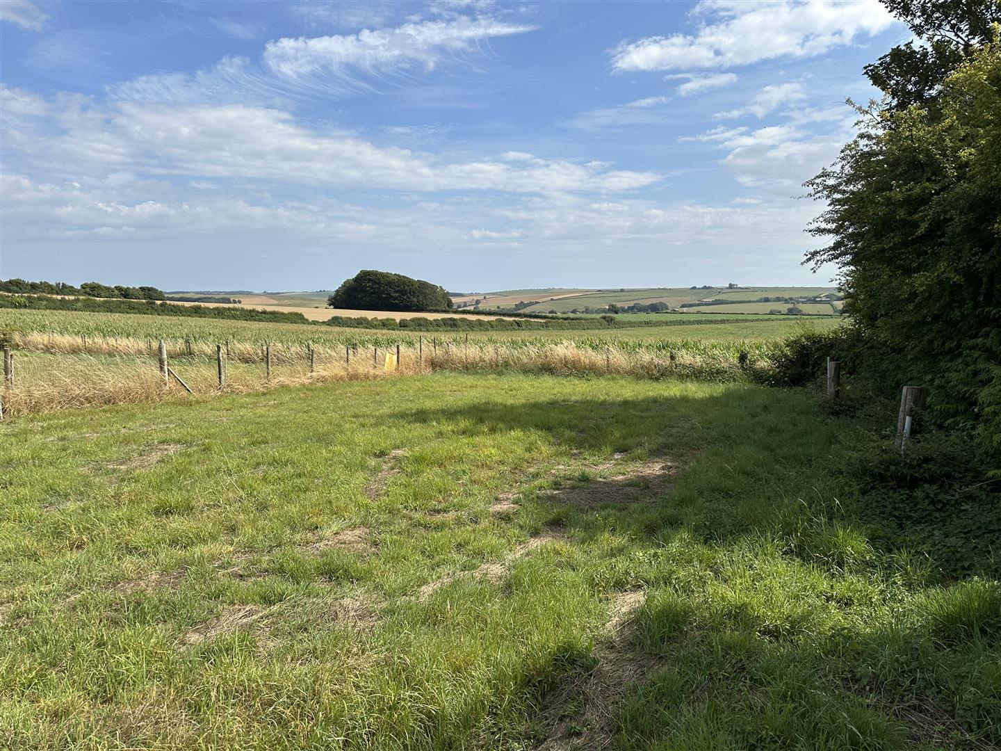 Property Image 339fc27f-eb31-4062-9fca-773c0992c3f2