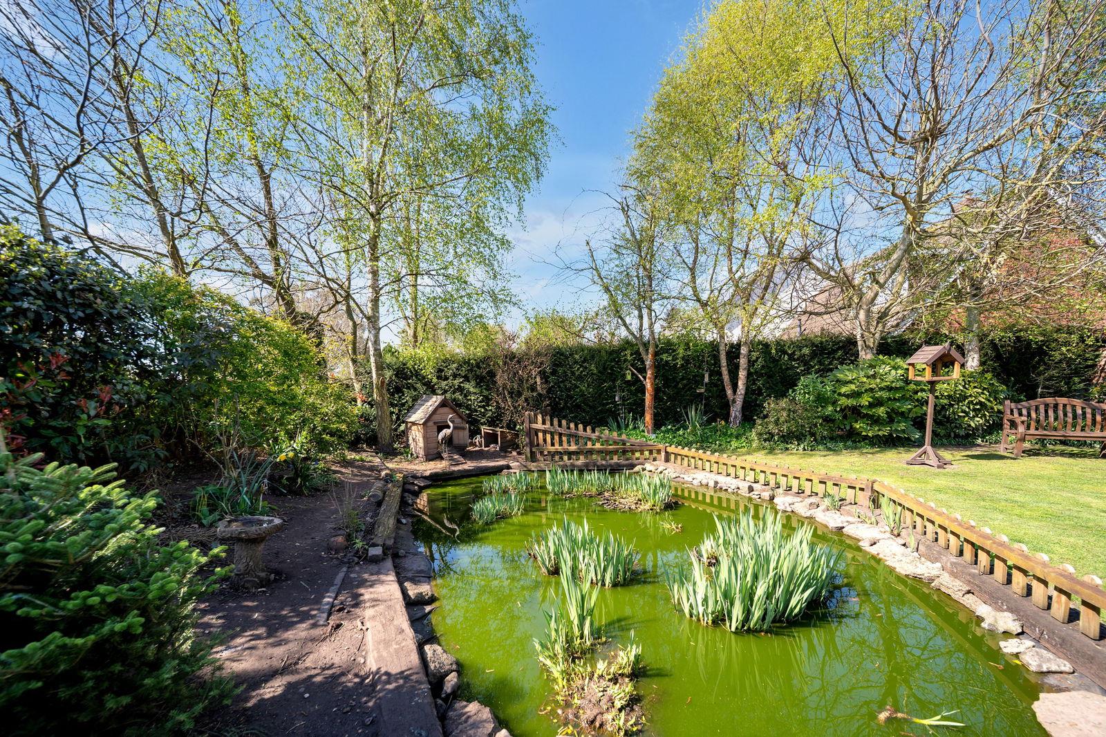 Property Image 33a8a7c7-4684-4dfb-bc23-7eb31d51b8f3