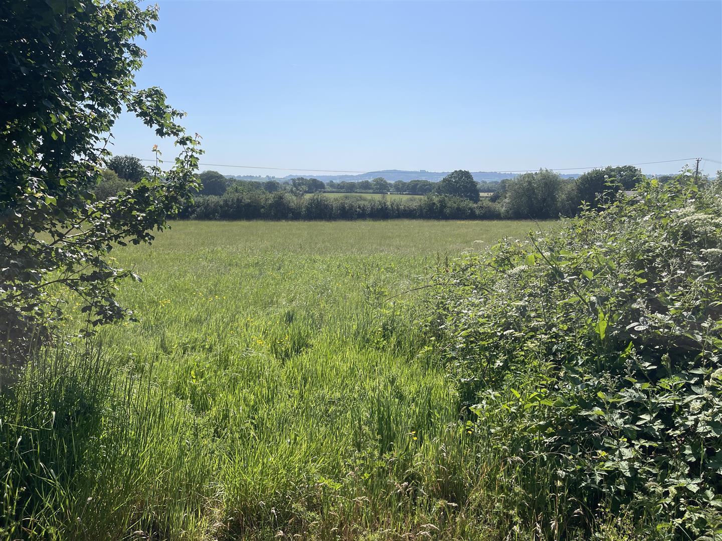 Property Image 33d26451-0532-48c1-9c5f-4cc1ef2df019