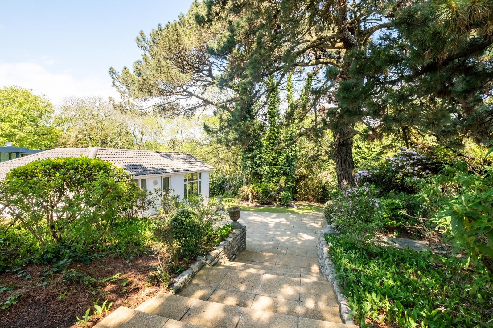 Property Image 33d2d794-4335-496a-af7f-545bb4e452ee