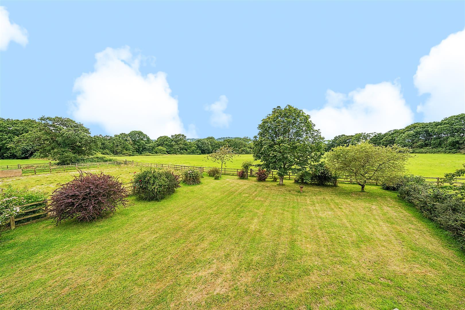 Property Image 33e648ac-7ed1-48bf-a714-06eddc813e2e