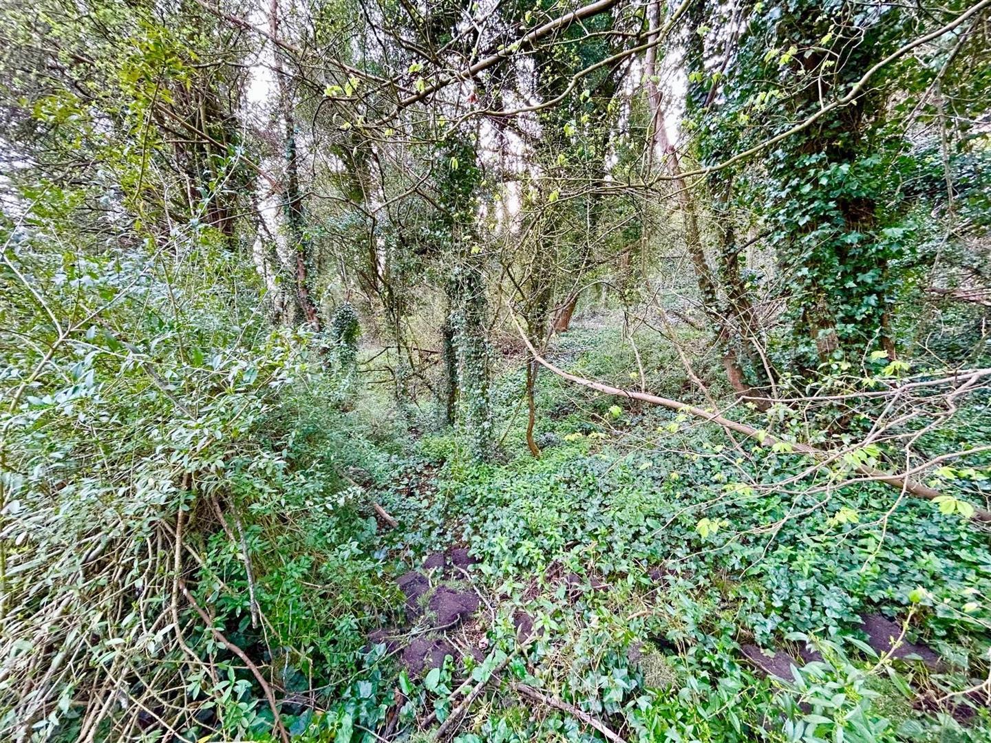 Property Image 33ff3170-dab8-4f3e-9e2c-54ad2af873d5