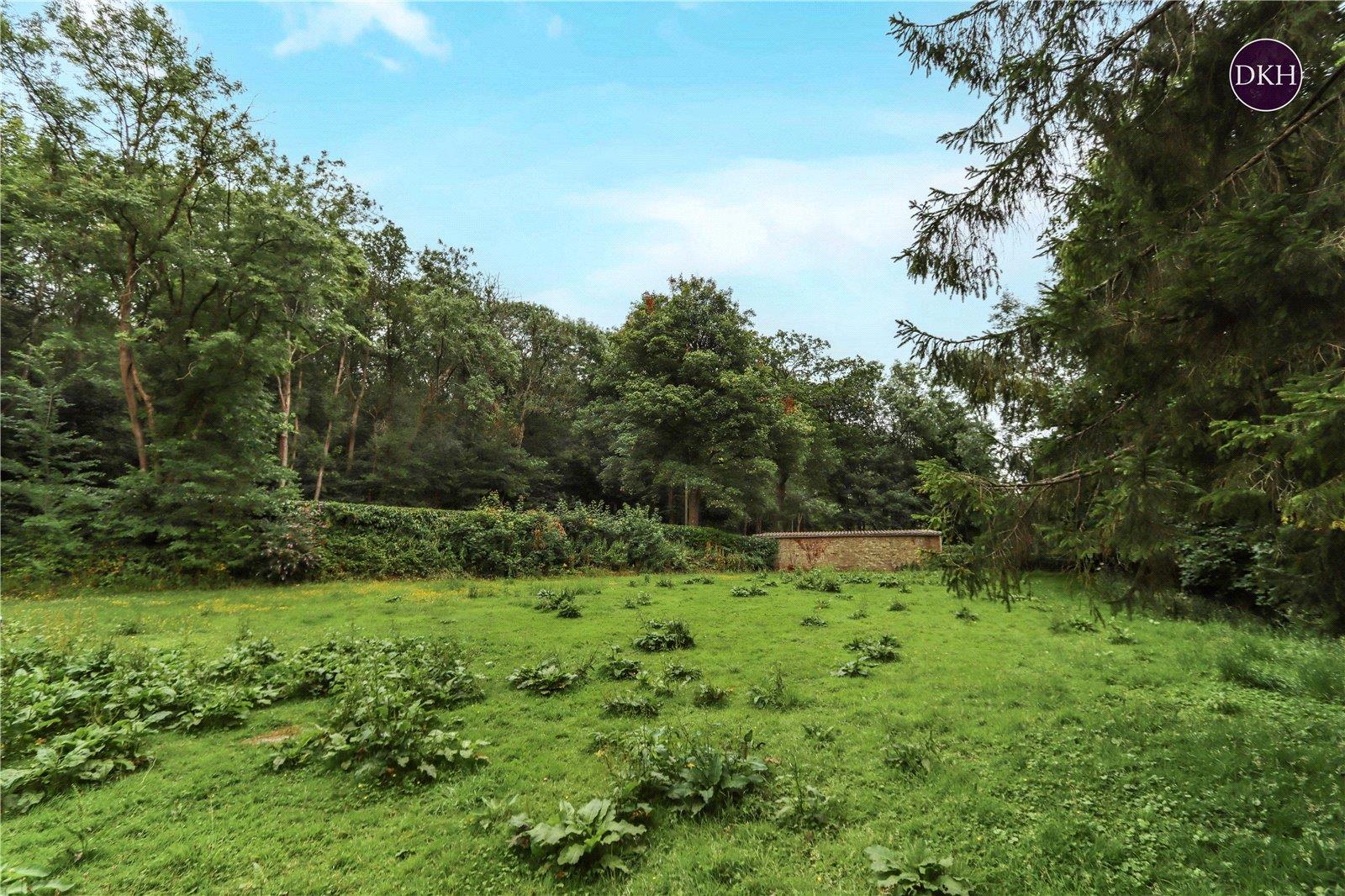Property Image 341ea7a8-646d-4b89-9d6c-b529c004622b