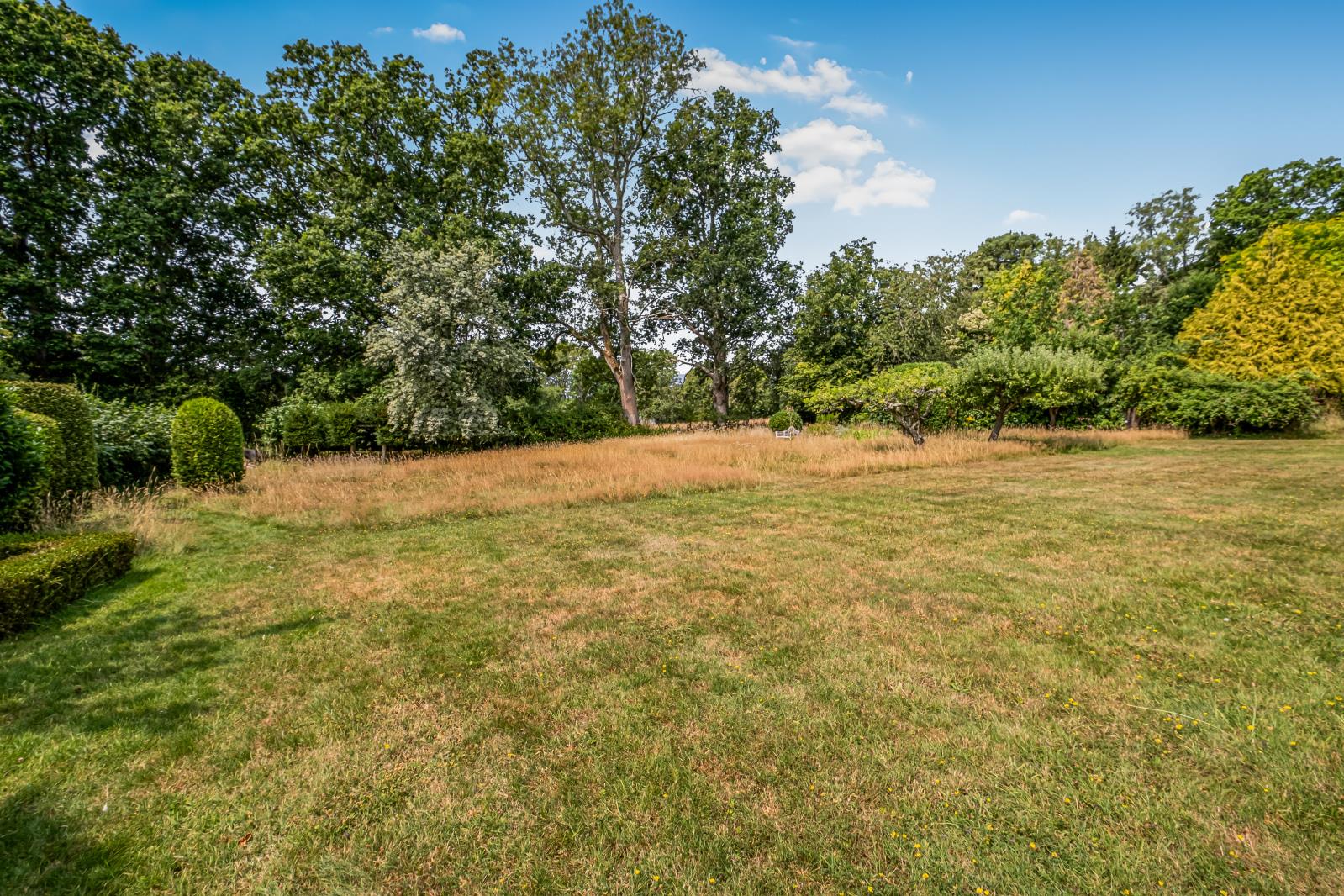 Property Image 3482f4a8-5461-4a91-8610-b579c6fe3d93