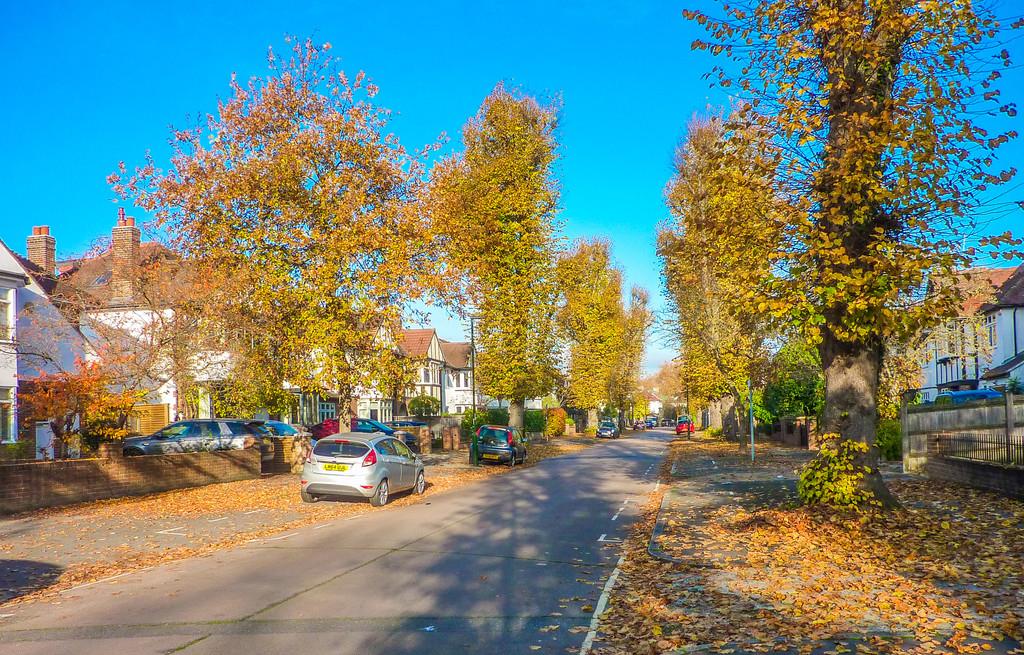 Property Image 348a78b0-1d8d-43f8-834c-f0e9350de666