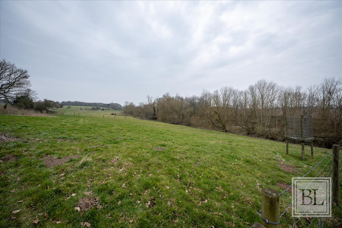 Property Image 34d1cbd8-6f38-4c90-8c96-04b65aa320e2