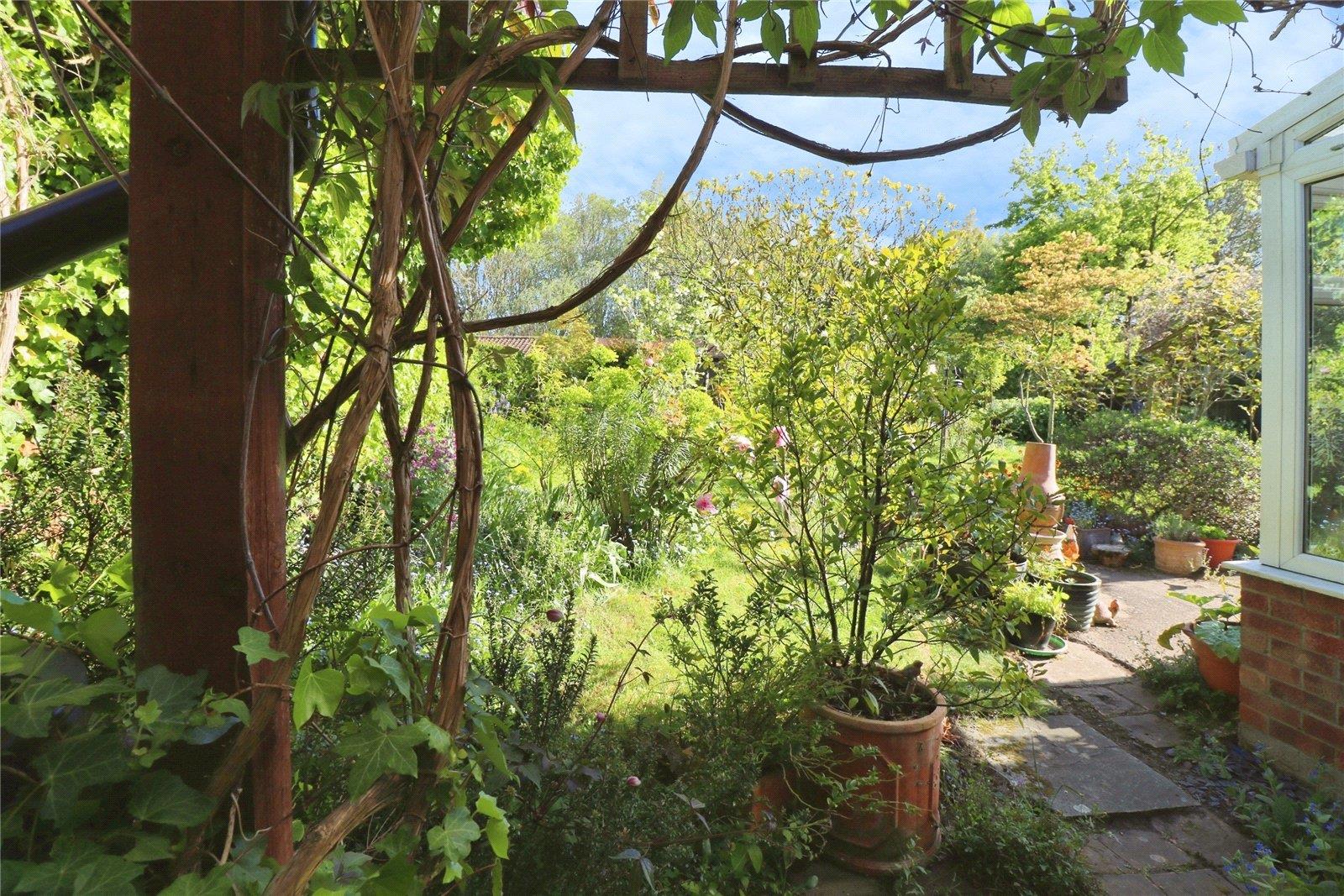 Property Image 34ea1ce0-57ba-4f84-8dcf-52d5486e4fa3