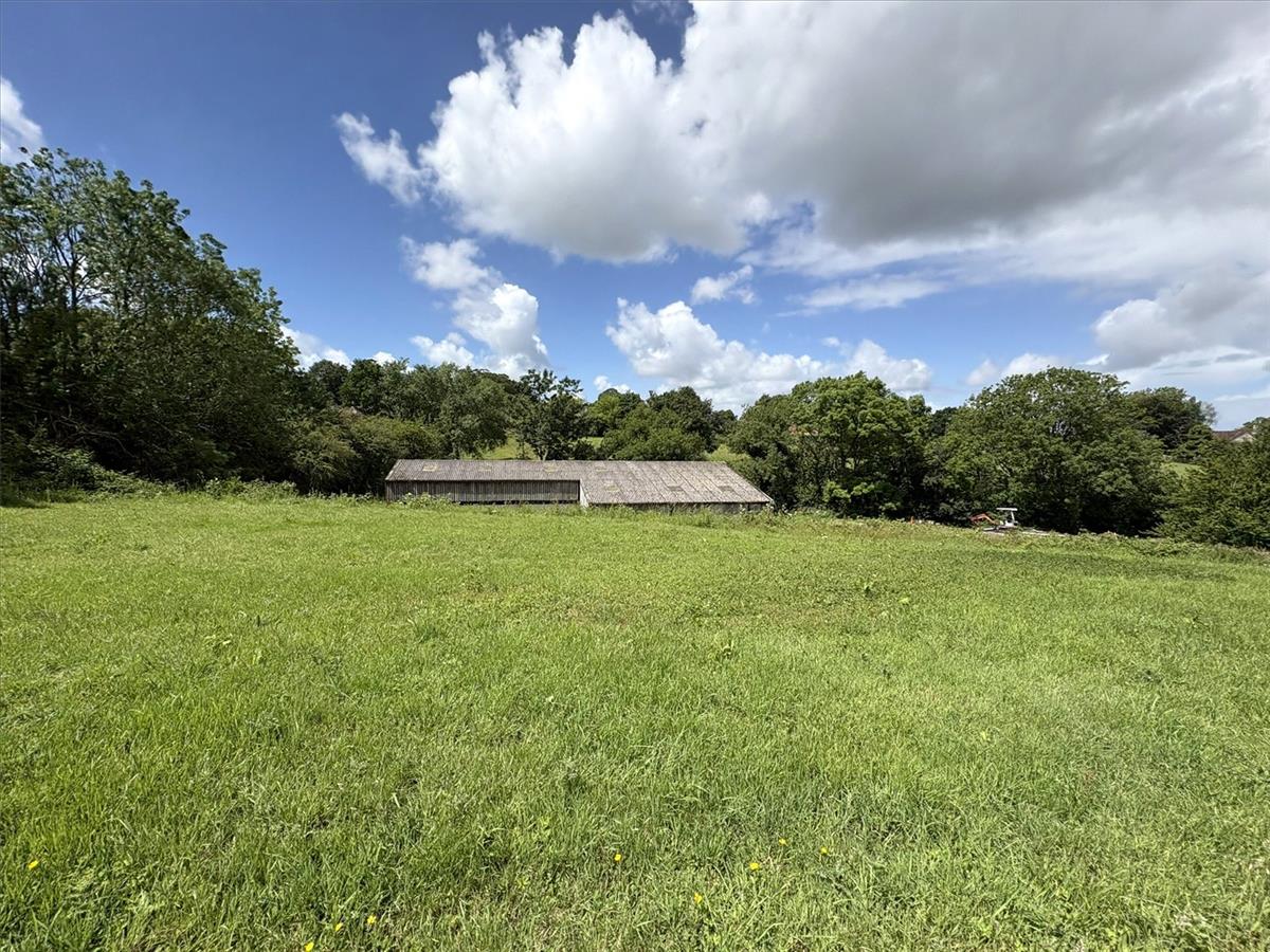 Property Image 35072959-bf08-45bb-b7b2-bc5c504051ea