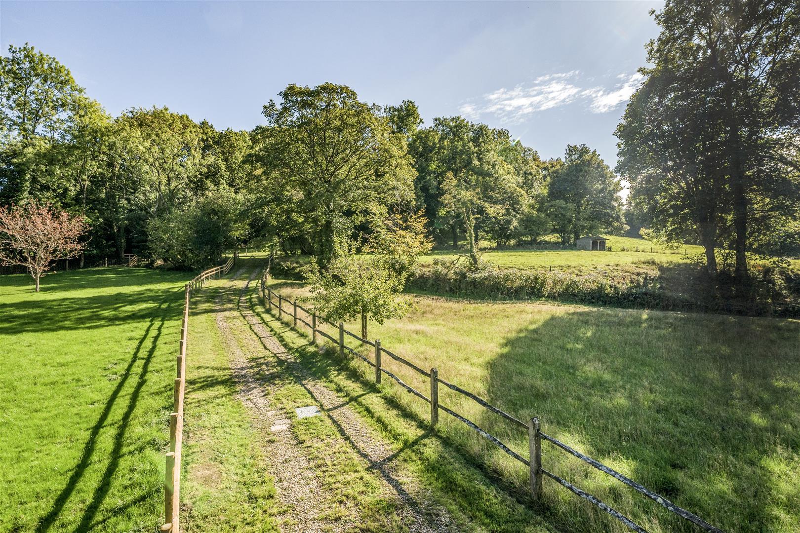 Property Image 35195a36-34ea-4863-92ae-3be3de563ee7