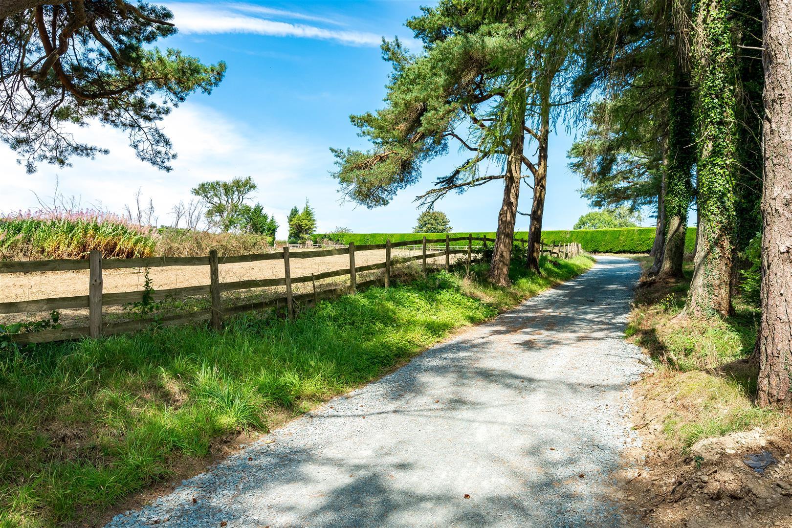 Property Image 353a07ae-2e3a-4b30-af4d-d6e3f5501edb