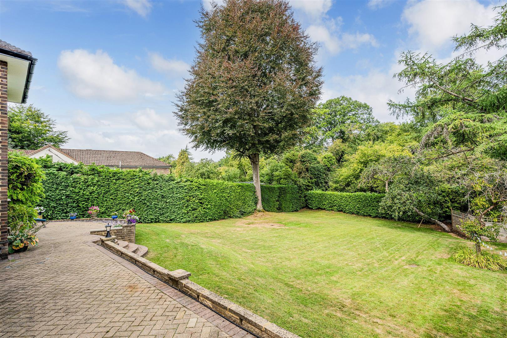 Property Image 353b55c9-0ba3-4db4-939f-00afccc72122