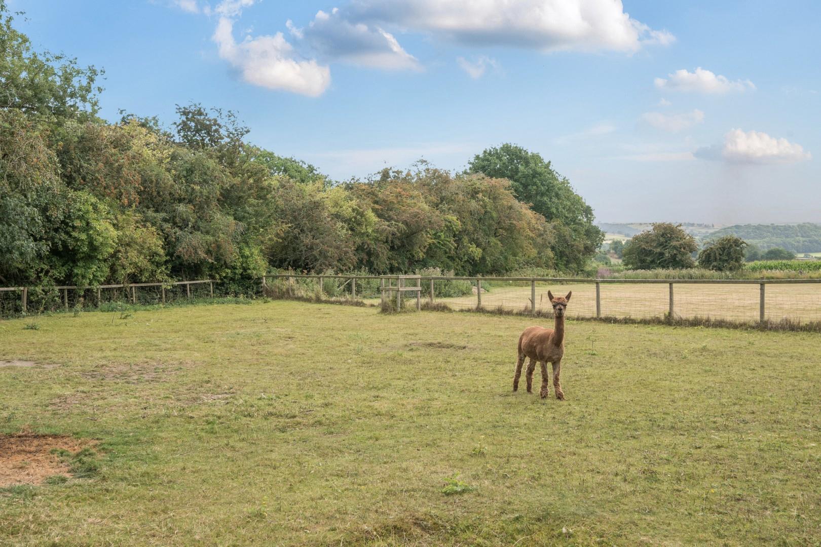Property Image 3574f14d-d7c8-4a56-814a-778366a49d50