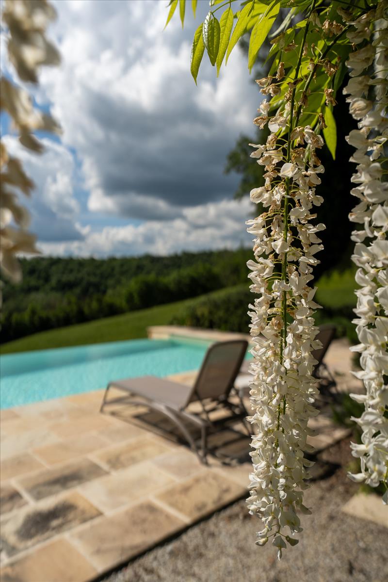 Property Image 35f04e7c-5b2f-4b25-b427-09dbc11b959e