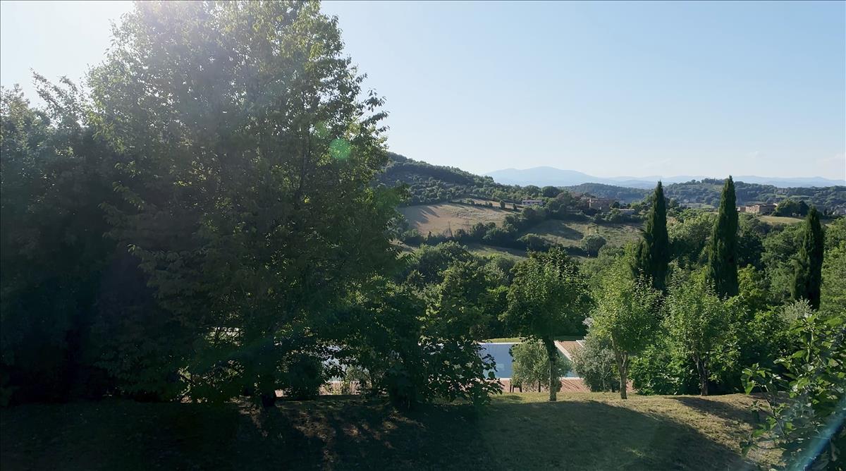 Property Image 360fd9b0-c9b0-4aaa-9fdf-49e9e6ade65d