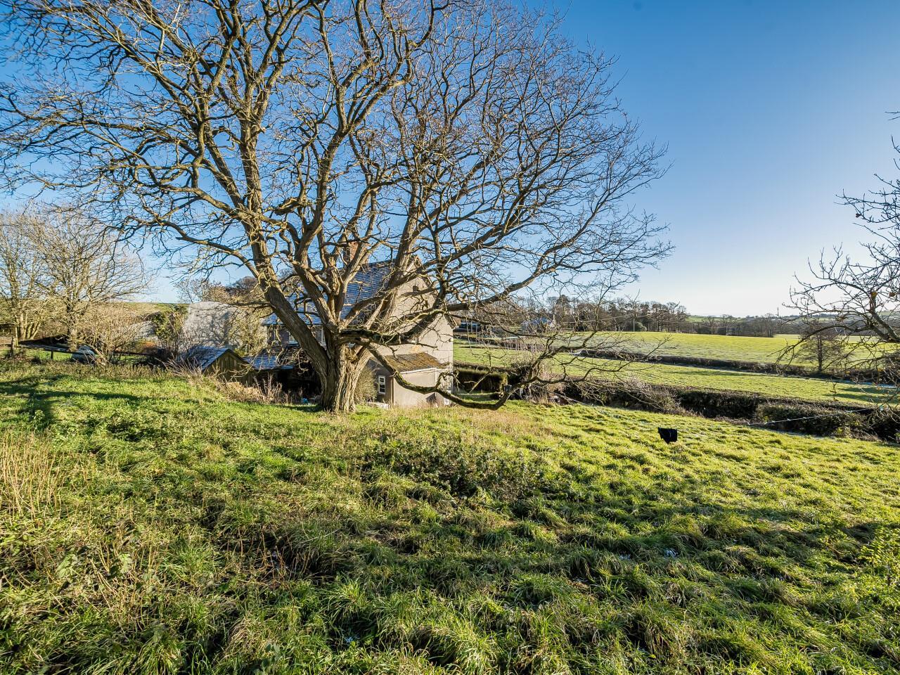 Property Image 3635559b-3524-4542-9757-db3eae559021