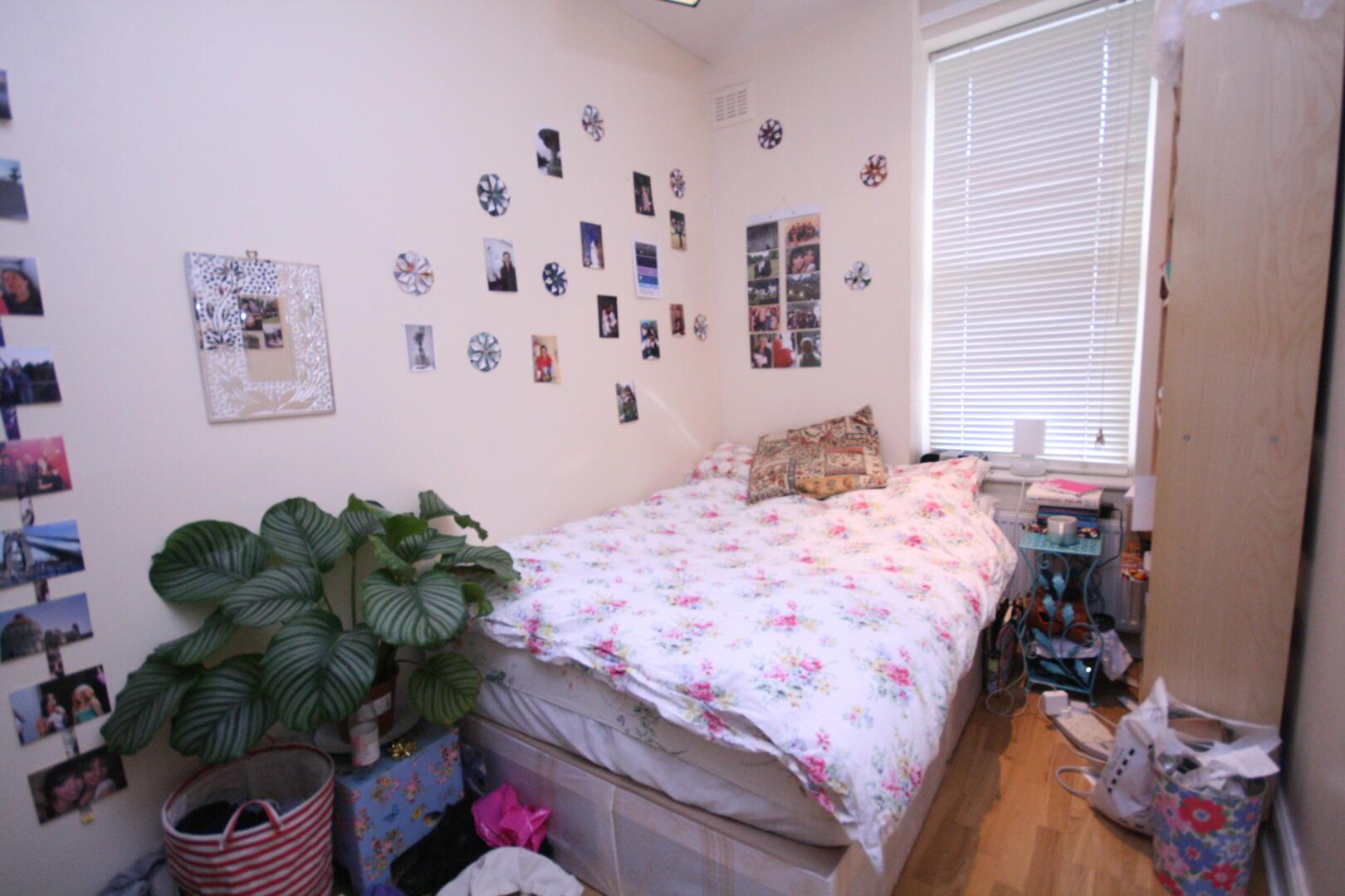 Property Image 365995da-b1ee-49e0-94fd-31e92a311525