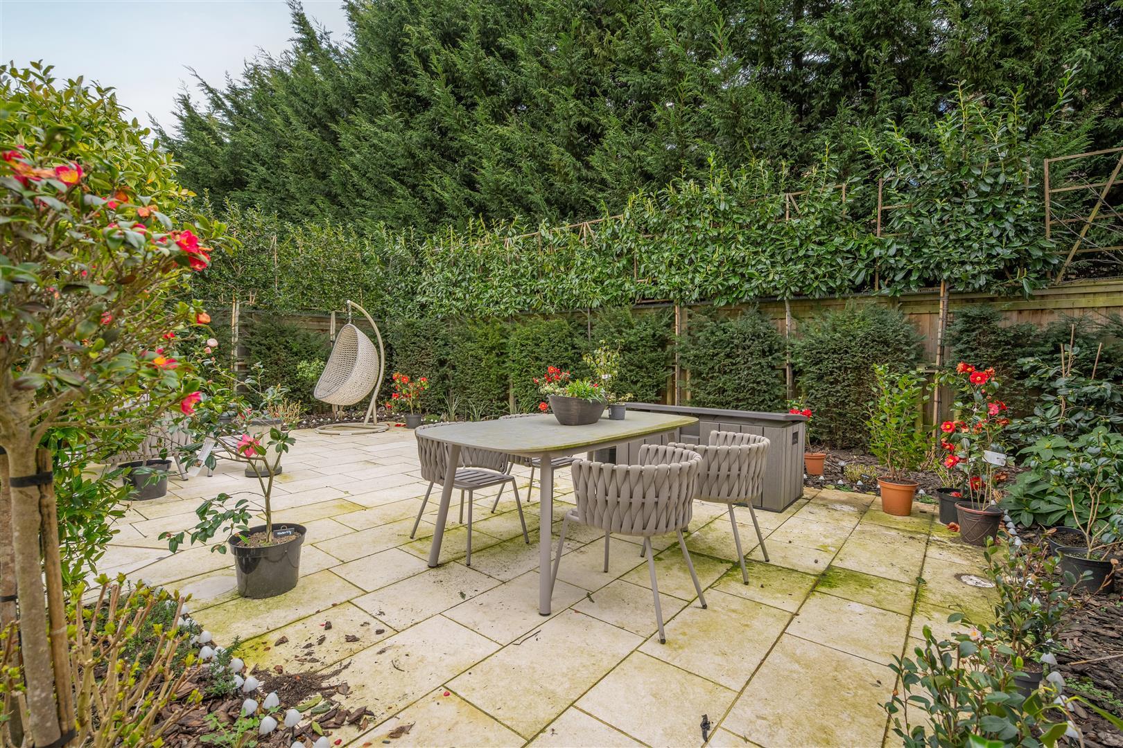 Property Image 366ec6f6-1509-411f-a8f6-6cb0b81e6355