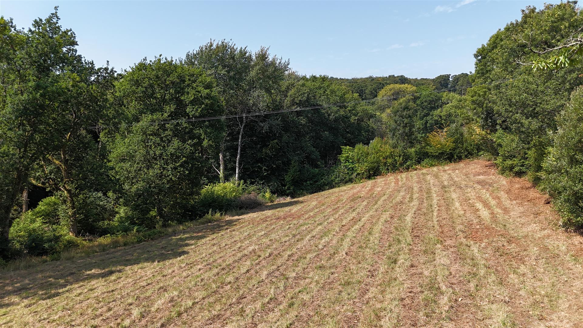 Property Image 3684a865-46d2-4a46-b517-90505ac84b2b