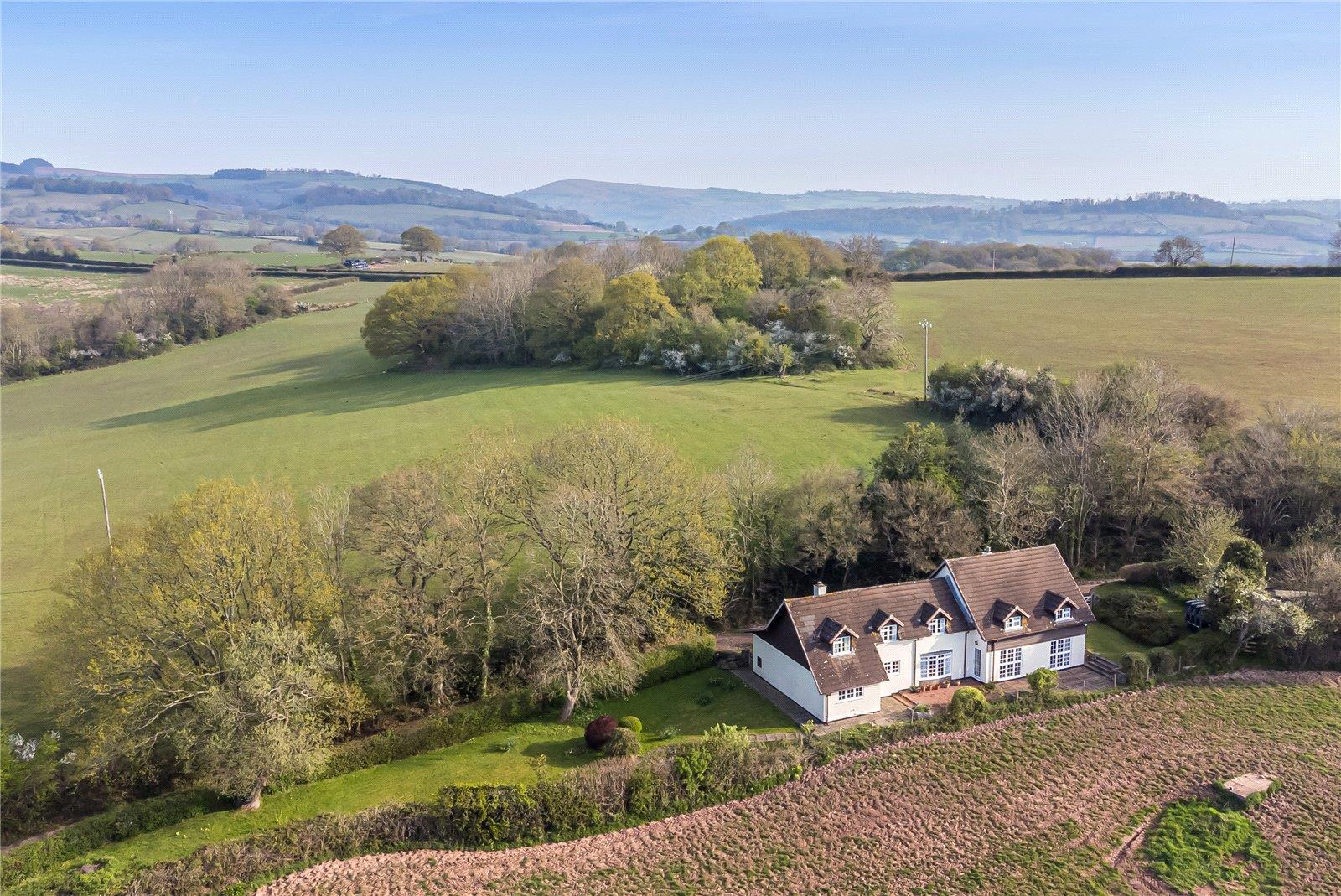 Property Image 368fc1f5-c109-4fe8-bc1d-aa3f93ba565d