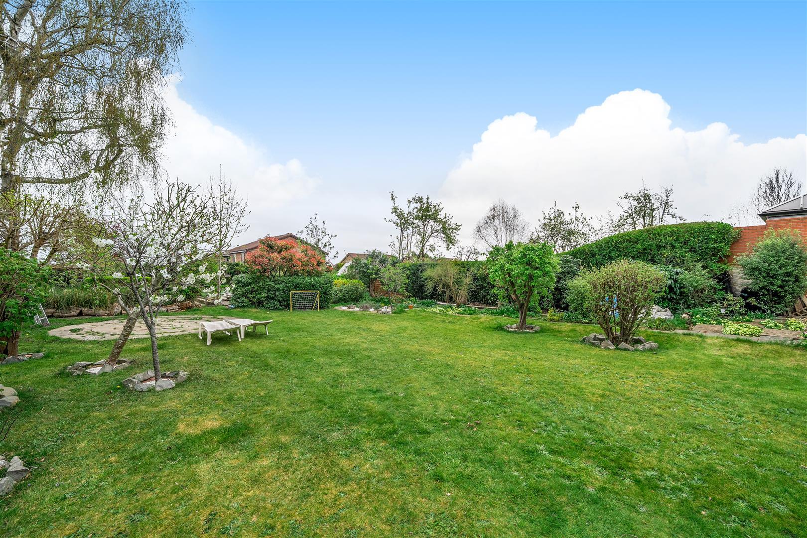 Property Image 3697acf8-bee6-4eaa-afce-aa7c2deb87f4