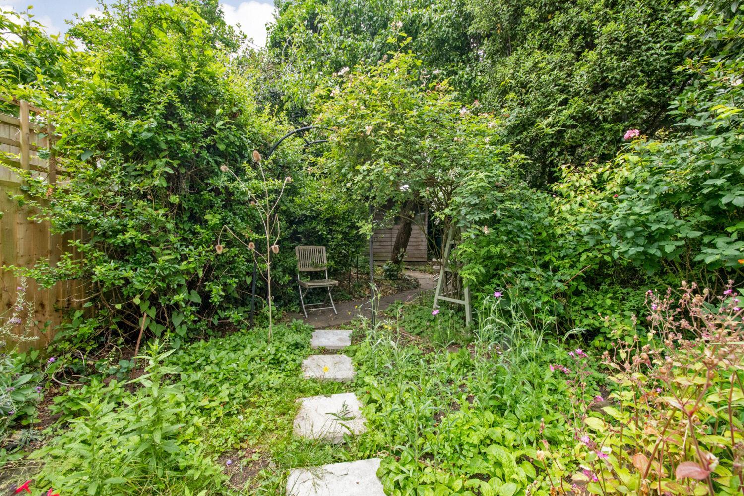 Image 14