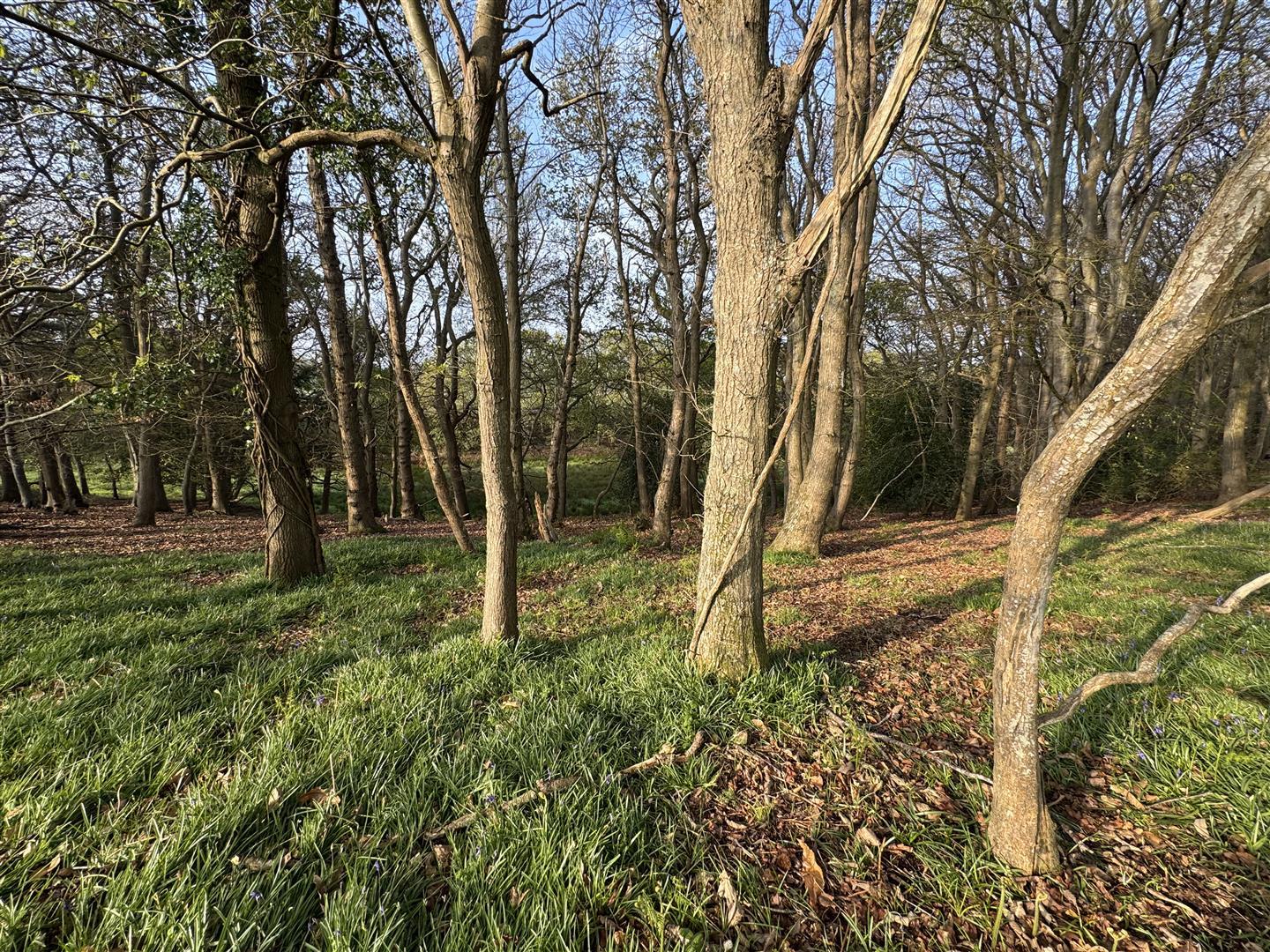 Property Image 36cbfcd4-4db0-4fd7-a183-792b82d2809d