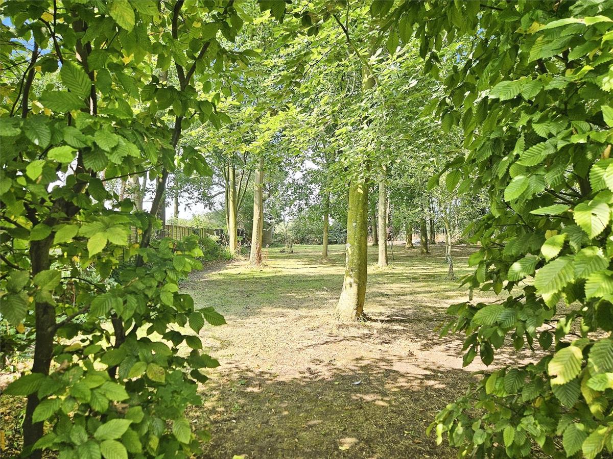 Property Image 37374dd4-a899-40fc-8c31-3429993f8aae