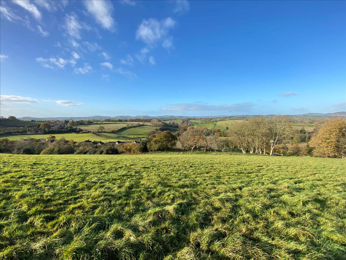 Property Image 3740484b-850b-4000-98f1-57fb476bc73a