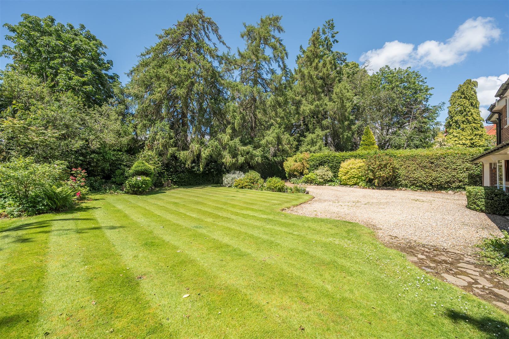 Property Image 374456d0-4273-431a-949f-4e8c818a8304