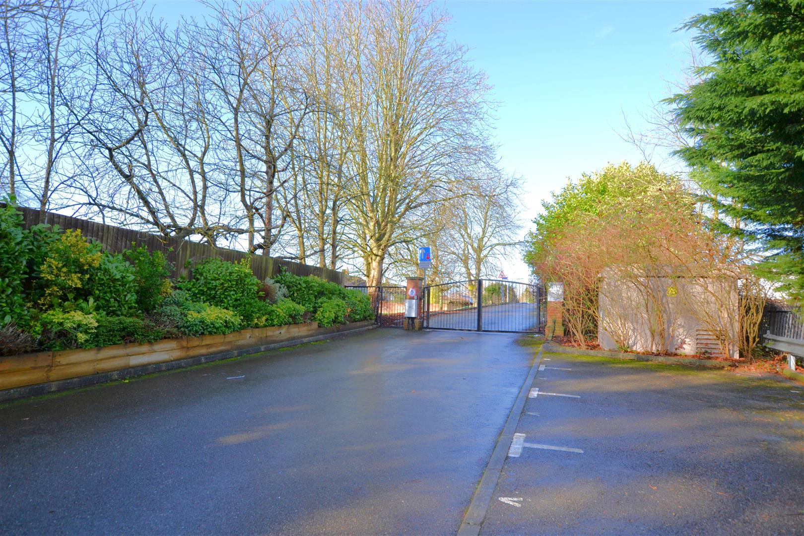 Property Image 374aae3e-8e50-4358-b280-25500cffb9ac