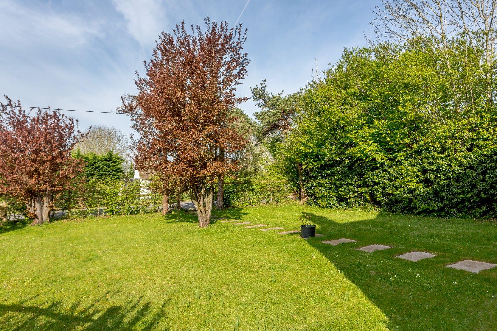 Property Image 37a03230-4261-44d6-9f6e-454418e5fc81