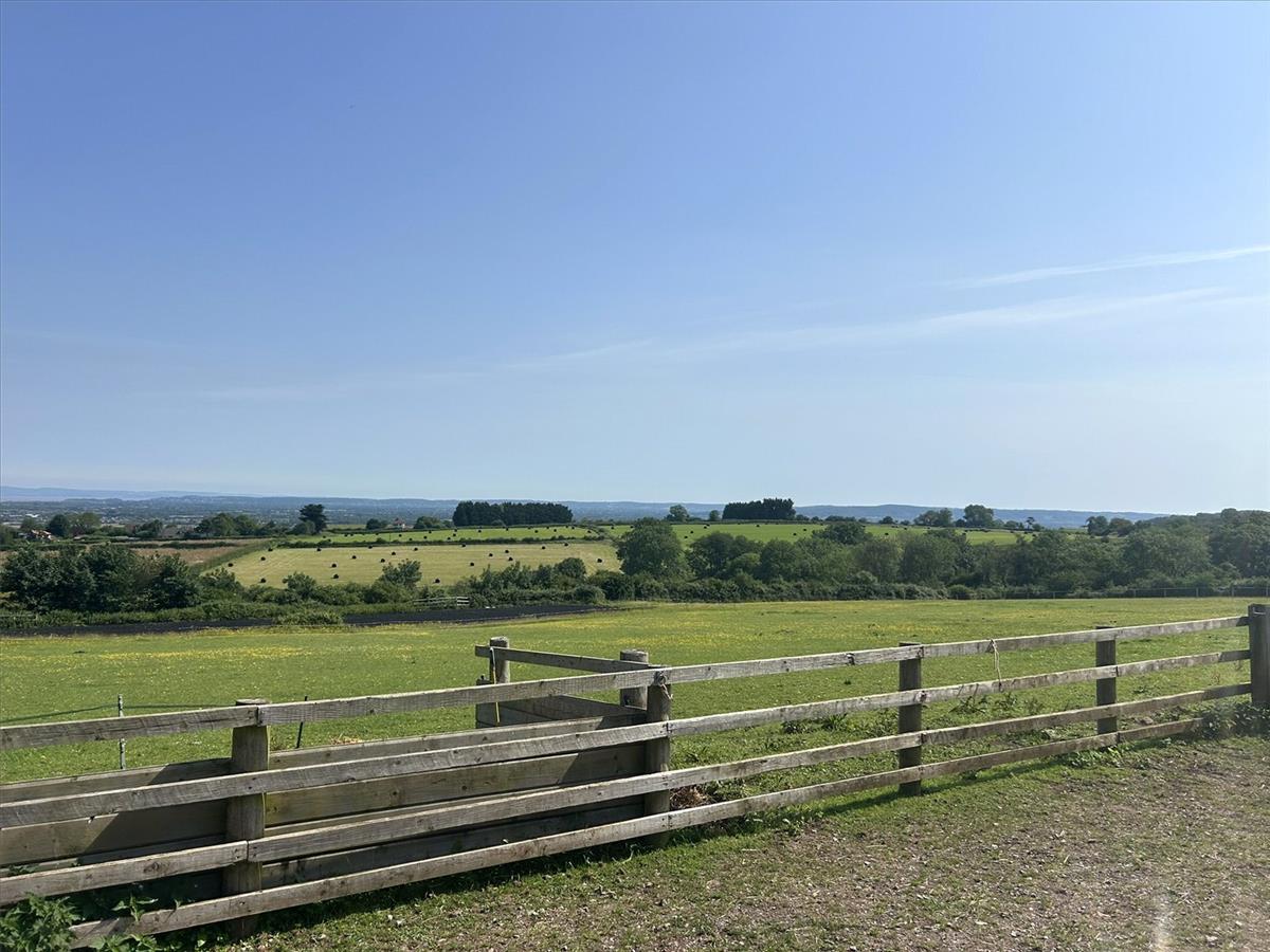 Property Image 37a6e72f-65f0-41b2-a37c-a60c85c8a620