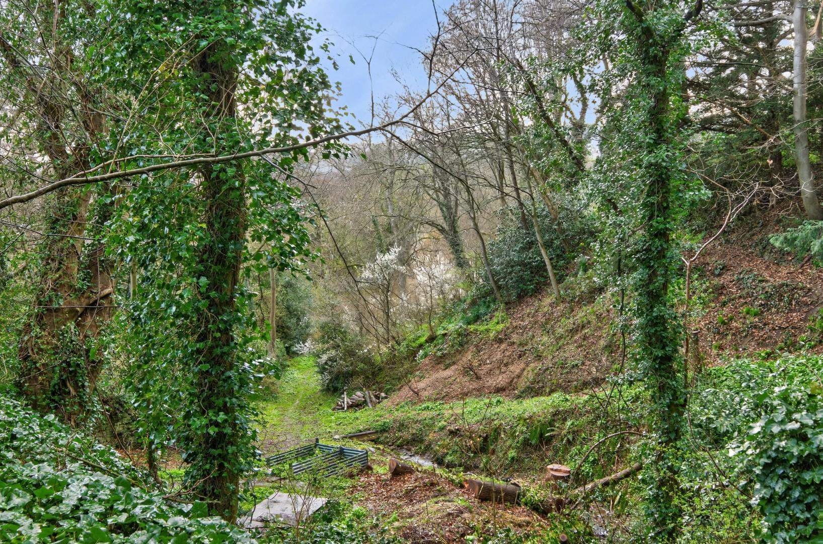 Property Image 37a902c9-9861-47aa-905e-0be64a375e2a