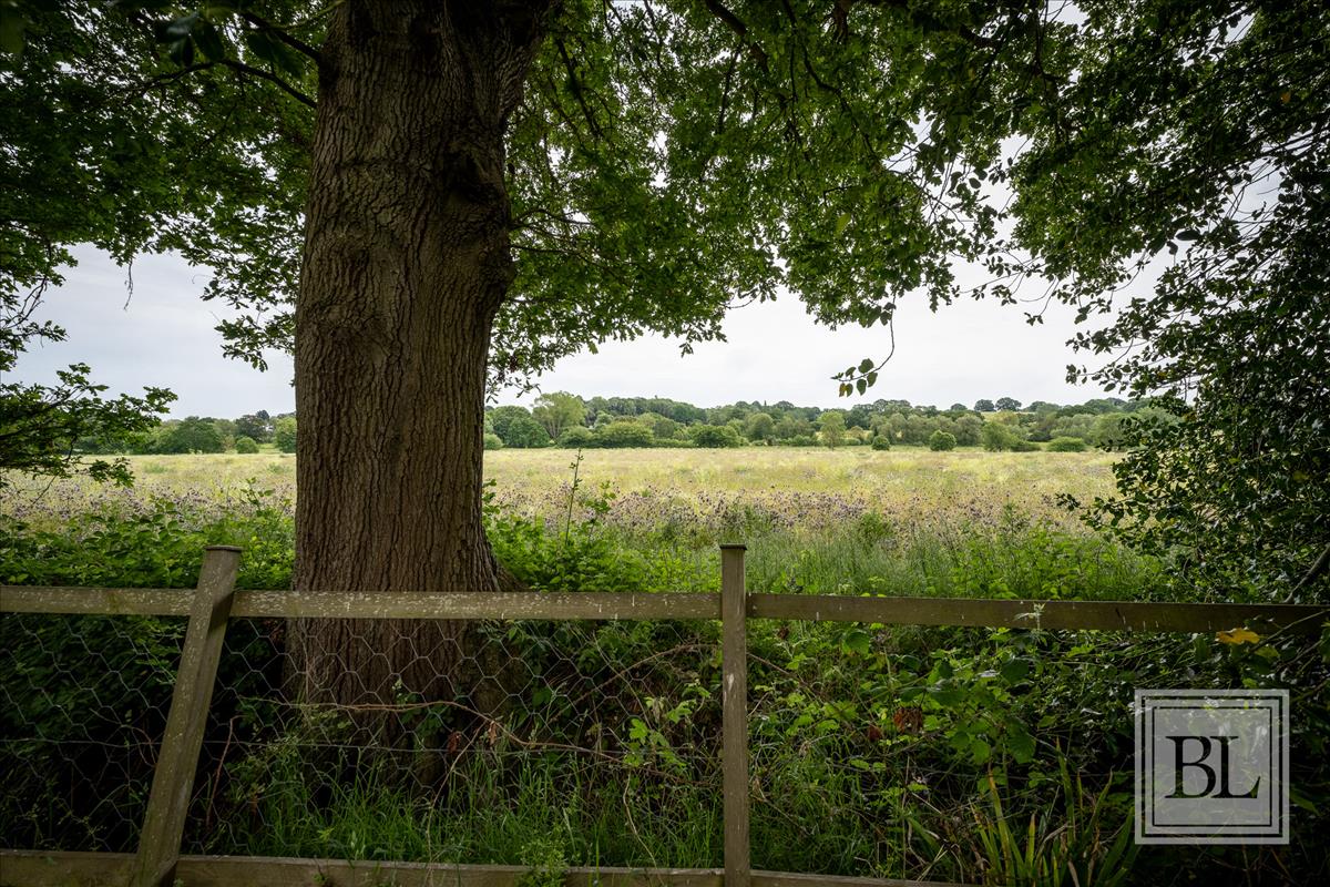 Property Image 37b0f7e8-5811-4d4c-9cf4-7a870b37193e
