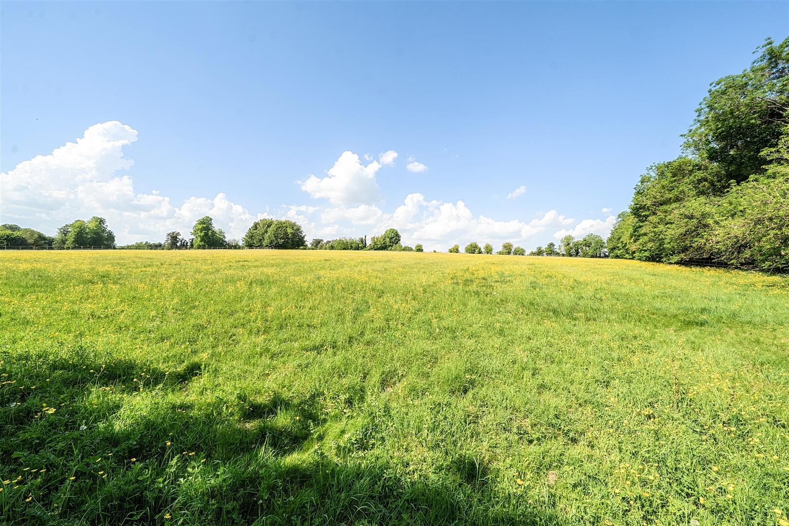 Property Image 37b50ecd-acc4-45c1-933d-9cb510f1be64