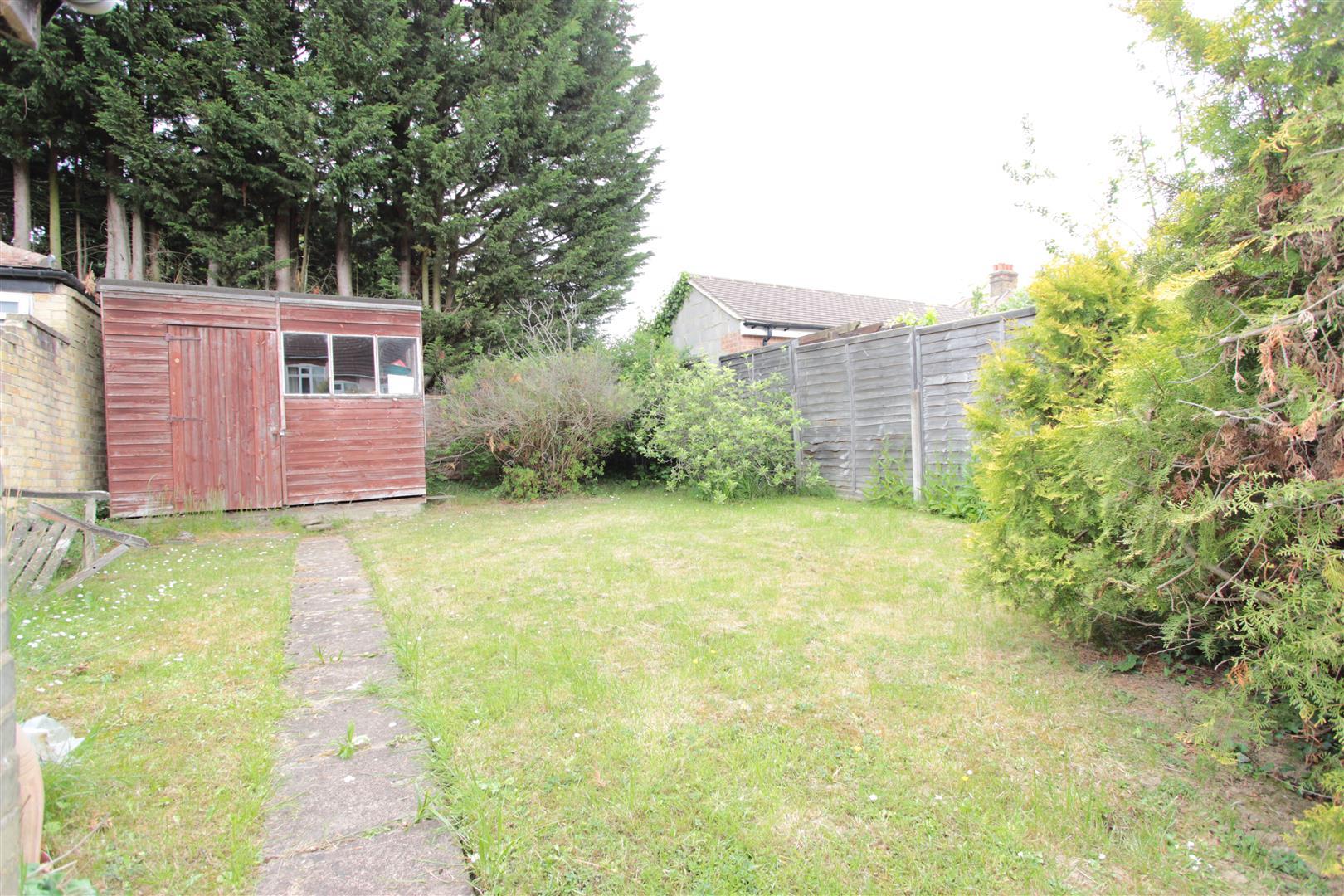 Image 20