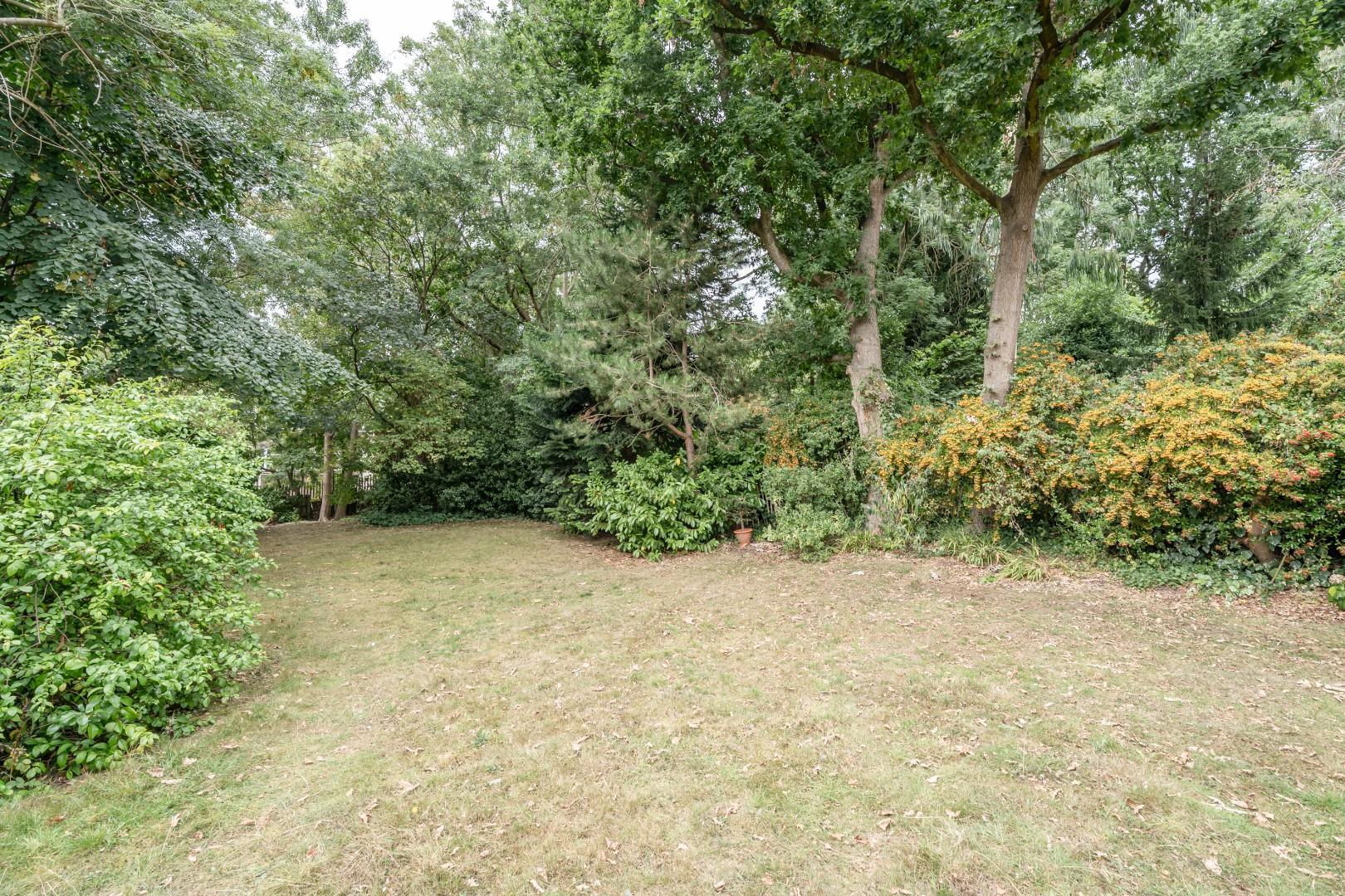 Property Image 380080ca-5589-473f-a903-f02cd5ab5fe0