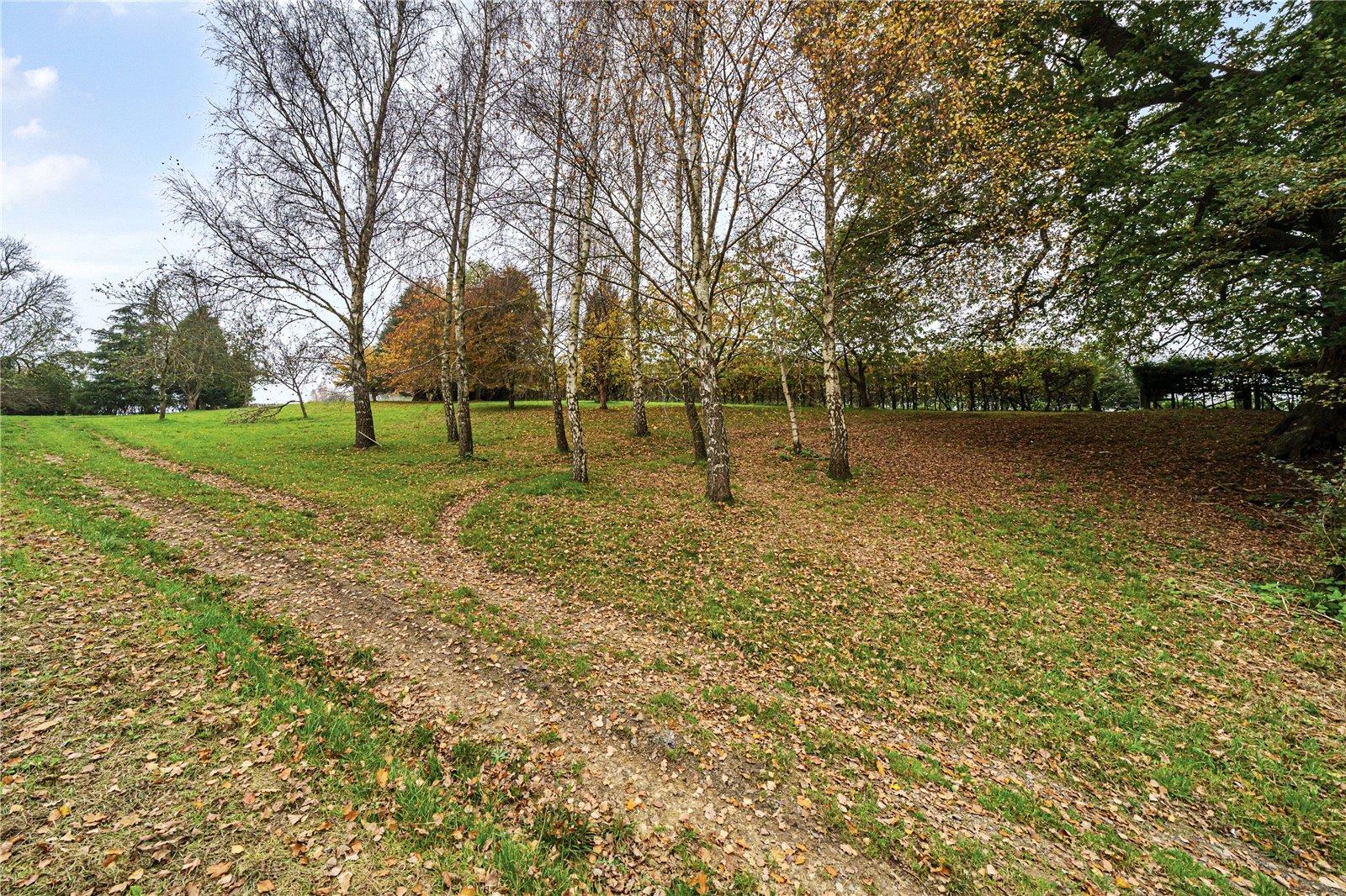 Image 32