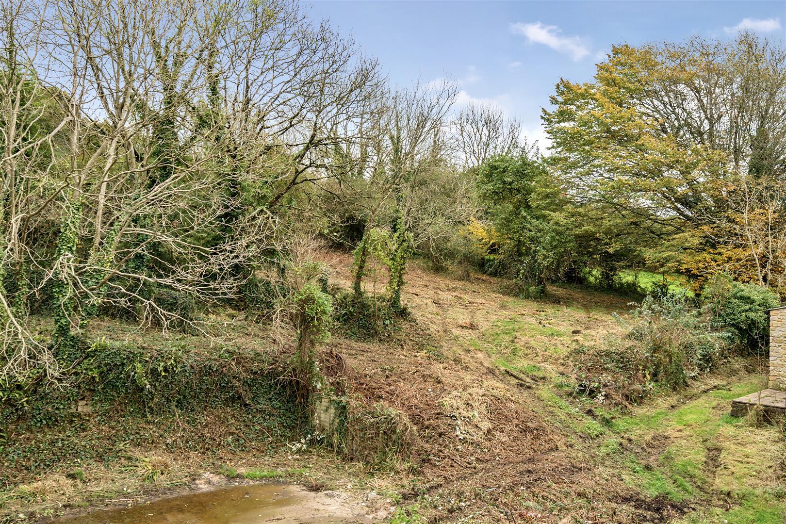 Image 25