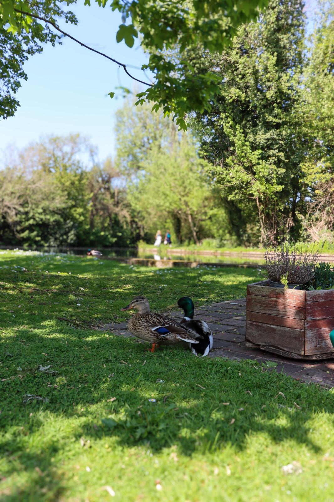 Property Image 381584b8-91d8-46a2-b7ef-16ccec0ce36c