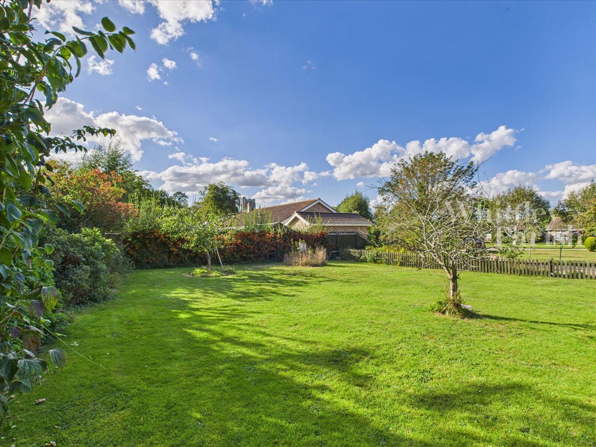Property Image 386082c6-bfaa-49aa-8740-e167065e8554
